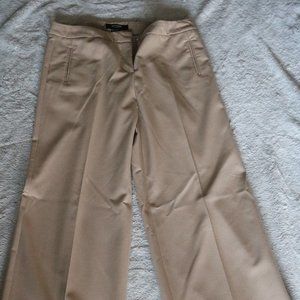 Express Beige Dress Pants Flare Wide Leg Size 9/10